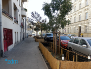 Ul. Kanałowa z zielenią