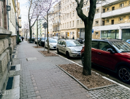 Ulica 23 Lutego przejdzie zieloną metamorfozę
