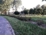 Uporządkować procedury nazewnicze