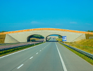 Utrudnienia na autostradowej obwodnicy Poznania