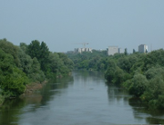 W lasach będzie monitoring