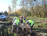W poznańskich parkach i skwerach przybędzie zieleni