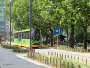 W weekend na Wildzie zmiany w komunikacji