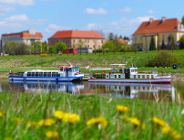 Warta ochrony