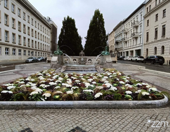 Widok na fontannę Kronthala i rozległą rabatę wypełnioną białymi kwiatami oraz ozdobnymi roślinami. Po obu stronach placu stoją kamienice i zaparkowane samochody.
