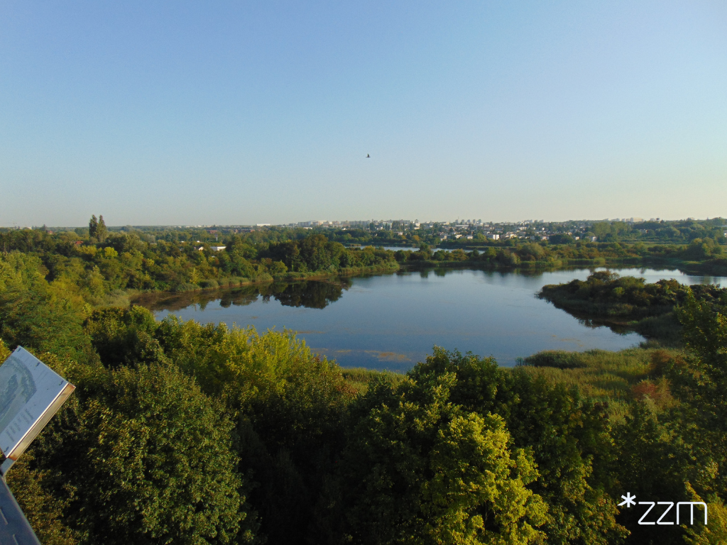 Widok na staw z wieży widokowej, dookoła drzewa, w tle panorama miasta.