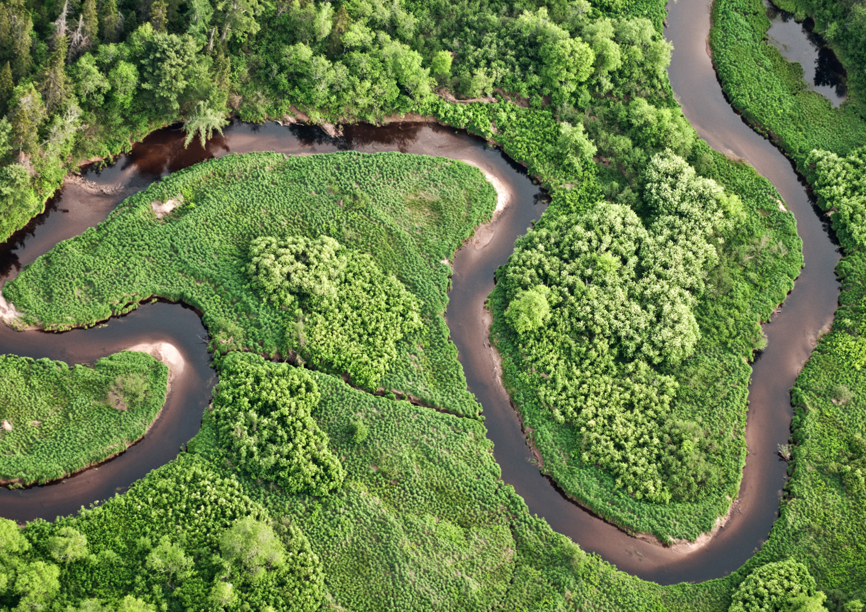 Widok z góry na krętą rzekę pośród drzew.
