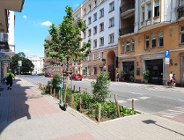 Więcej zieleni, a mniej bruku na ul. 3 Maja