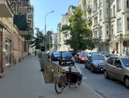 Więcej zieleni na łazarskich ulicach