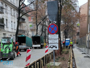 Więcej zieleni na ul. Karwowskiego na Łazarzu