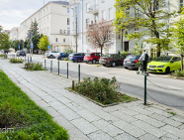 Więcej zieleni na ul. Kochanowskiego