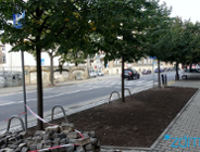 Więcej zieleni na ul. Mostowej