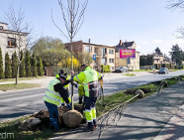Wiosenne nasadzenia czas zacząć