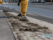 Wiosenne porządki na poznańskich ulicach