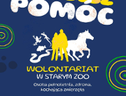 Wolontariat w Starym ZOO