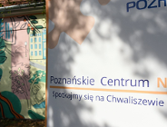Wsparcie dla wolontariuszy i NGO | Poznańskie Centrum NGO