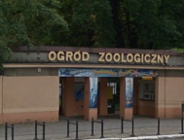 Wstęp płatny czy bezpłatny