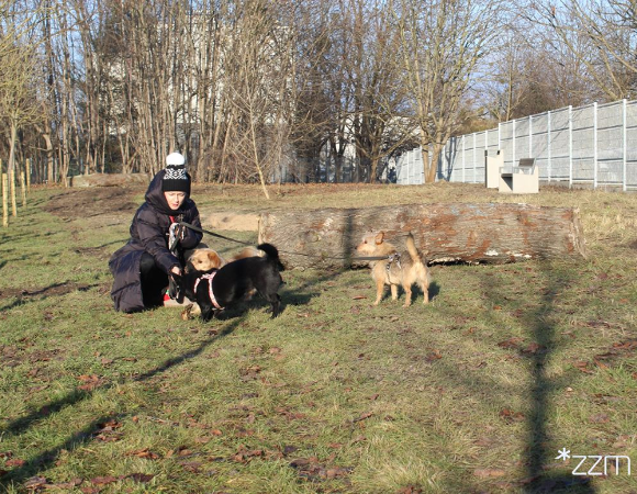 wybieg dla psów przy ul. Dukielskiej