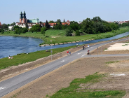 Wybory zarządzone