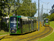 Za darmo na cmentarz autobusem i tramwajem