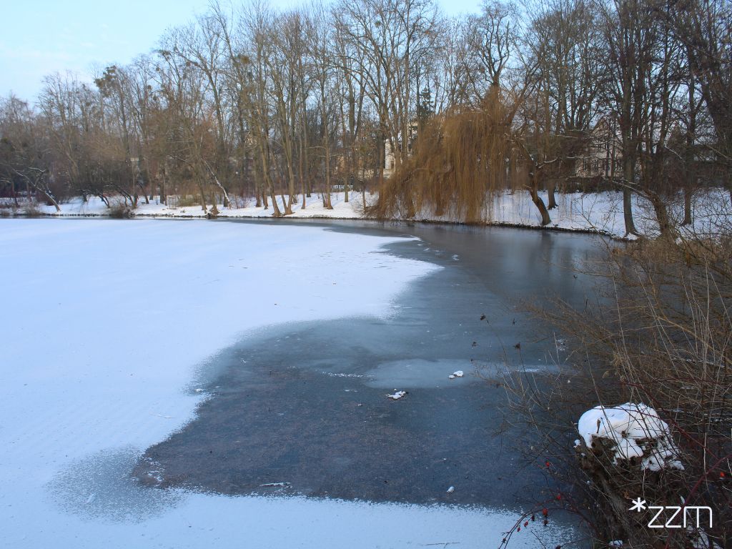 Zamarznięty staw w Parku Sołackim