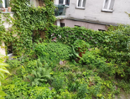 Zapraszamy dziś na spacer pt."Zielona Retencja"