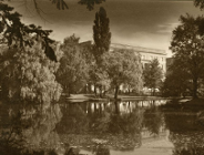 Zasadna petycja