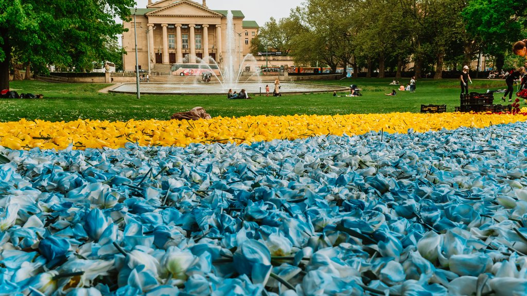 zdjęcie dywanu kwiatowego w barwach flagi Ukrainy w parku A. Mickiewicza
