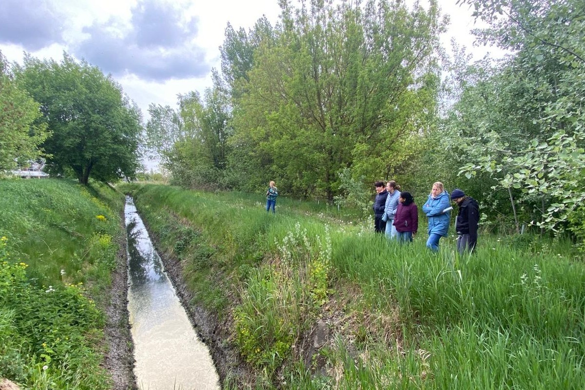 Zdjęcie przedstawia osoby stojące w trawie. Patrzą w stronę skanalizowanego cieku wodnego.
