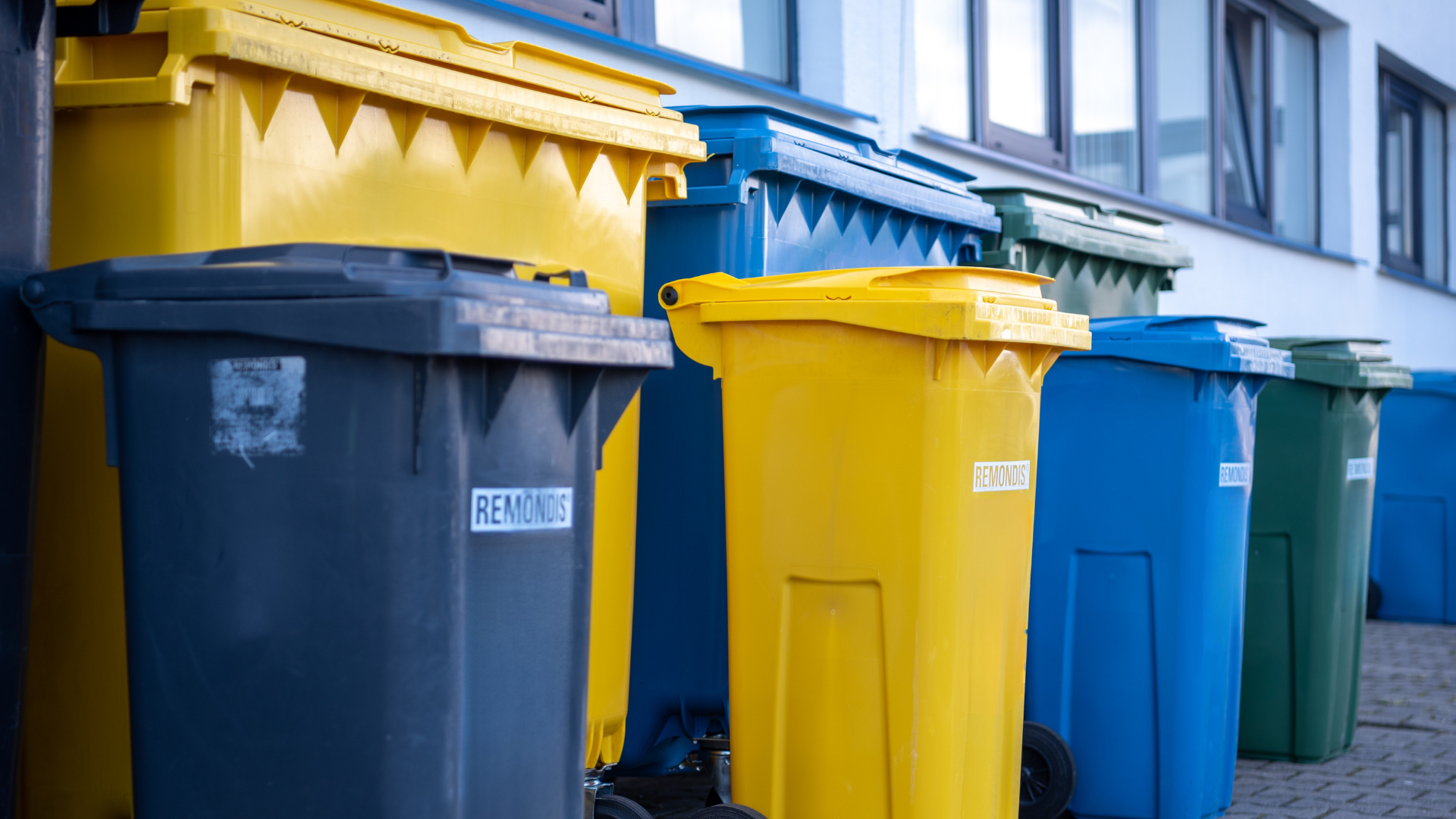 Zdjęcie przedstawia pojemniki na odpady