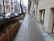 Zieleń na ul. Małeckiego