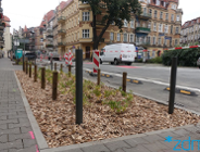 Zieleń na ul. Małeckiego - II etap prac