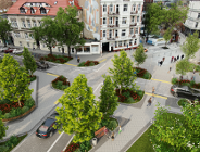 Zieleń w miejsce asfaltu i bruku