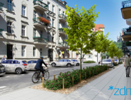 Zieleń wraca na ul. Małeckiego
