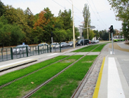 Zielone ulice