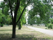 Zielony budżet