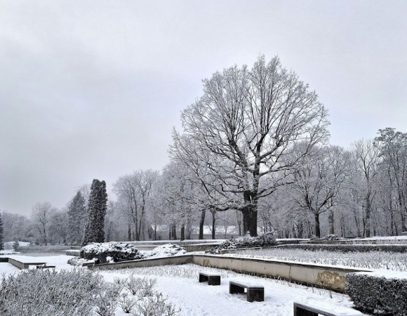 Zima w Parku Cytadela