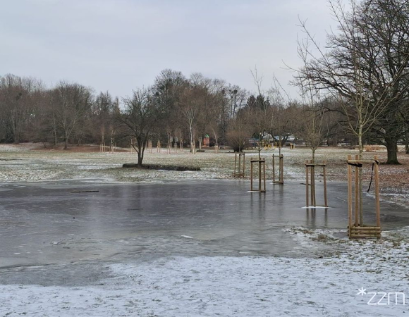 Zima w Parku Cytadela