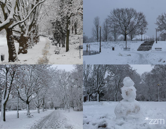 Zima w poznańskich parkach