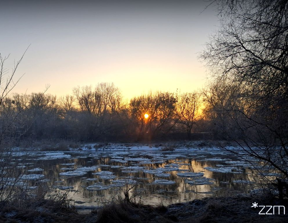 Zimowy poranek w Parku Szelągowskim