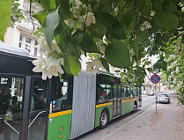 Zmiany organizacji ruchu na ul. Matejki