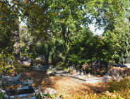 Zmiany w organizacji ruchu w okresie Wszystkich Świętych