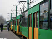 ZTM sprawdza dłuższe tramwaje