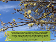 Życzenia Wielkanocne